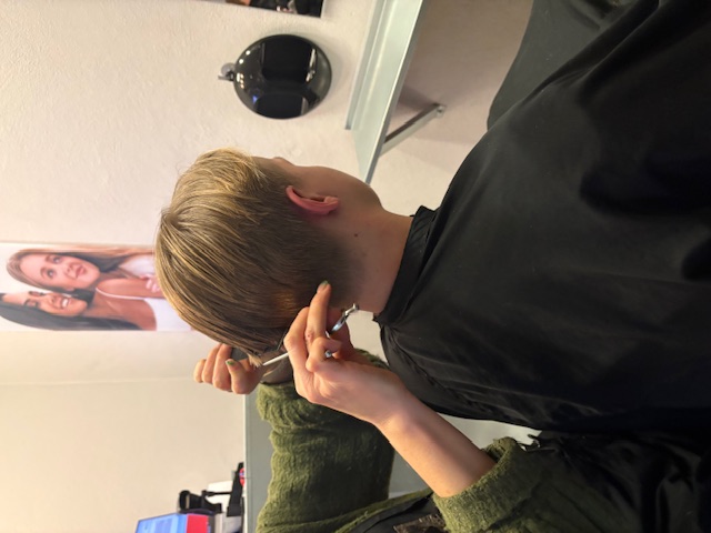 Klippningar